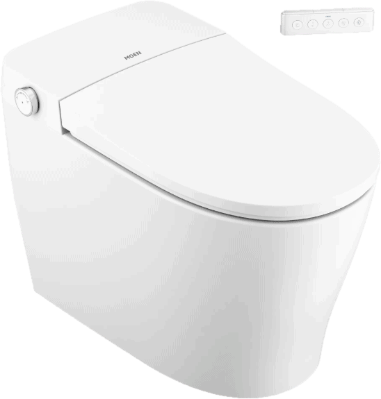 Moen toilet